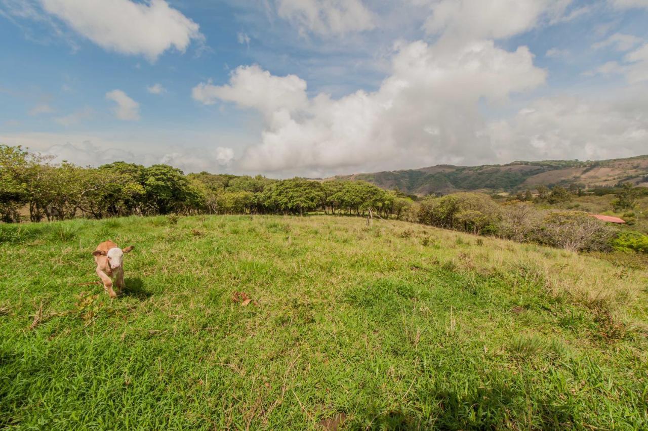 Cabanas Valle Campanas - Monteverde, Costa Rica Εξωτερικό φωτογραφία
